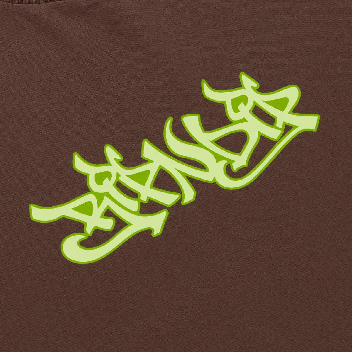 DRAGONOLOGY TEE (DARK BROWN)
