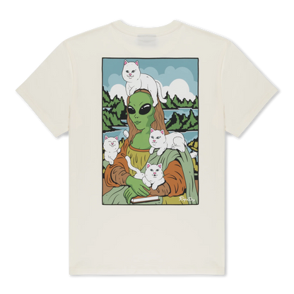 HERE ALL ALONG TEE (BONE)