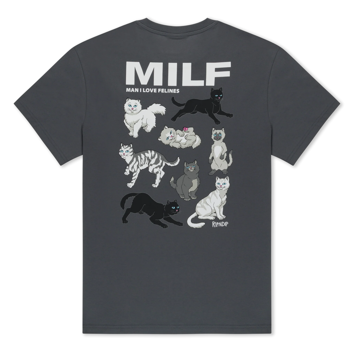 MAN I LOVE FELINES TEE (CHARCOAL)