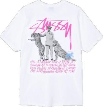 Camiseta Stussy Chita
