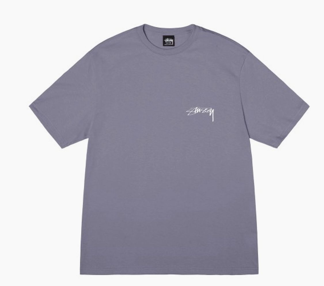 STUSSY ESFINGE REPTILIANA GREY