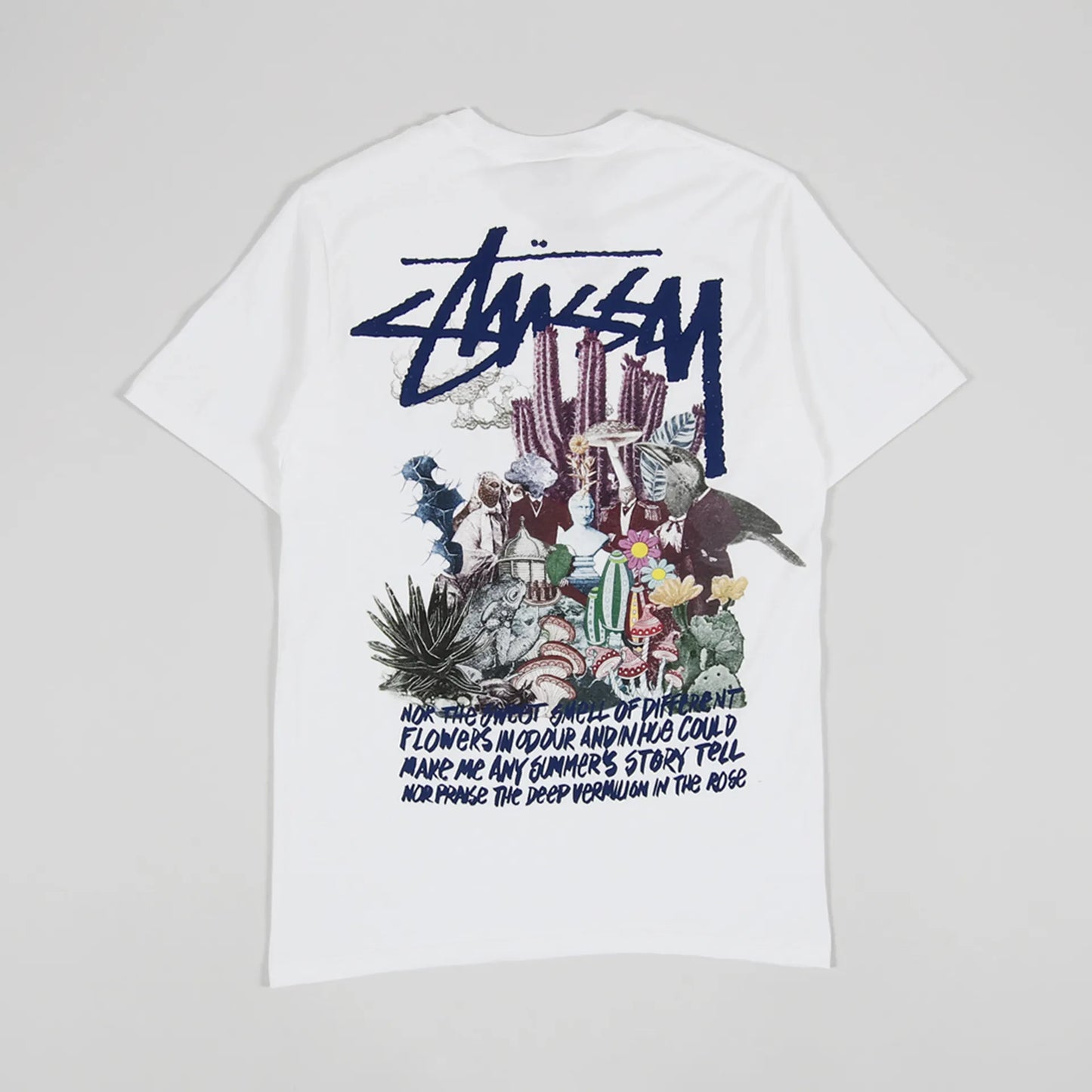 Camiseta Stussy Desierto PSYCODELICO