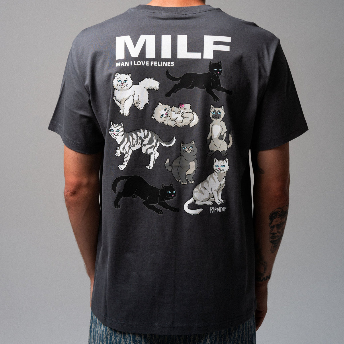 MAN I LOVE FELINES TEE (CHARCOAL)