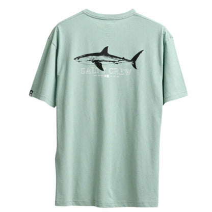 CAMISETA SALTY CREW BROTHER BRUCE PREMIUM S/S TEE