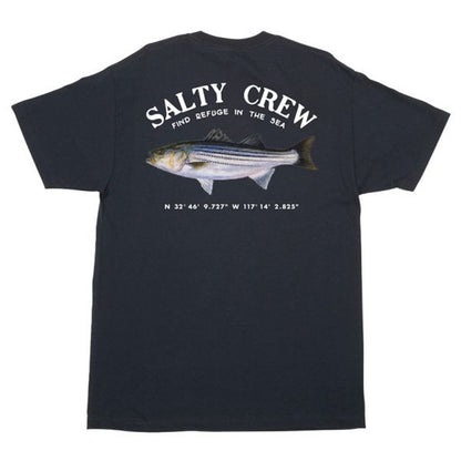 salty Crew Striper Standard